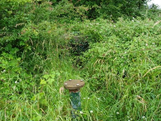 South Creake ROC Post 2024 (Erica Devitt)