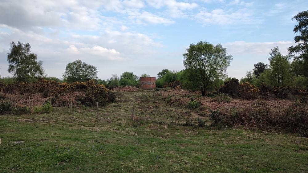 Environs (Sean Gallon - 2024)