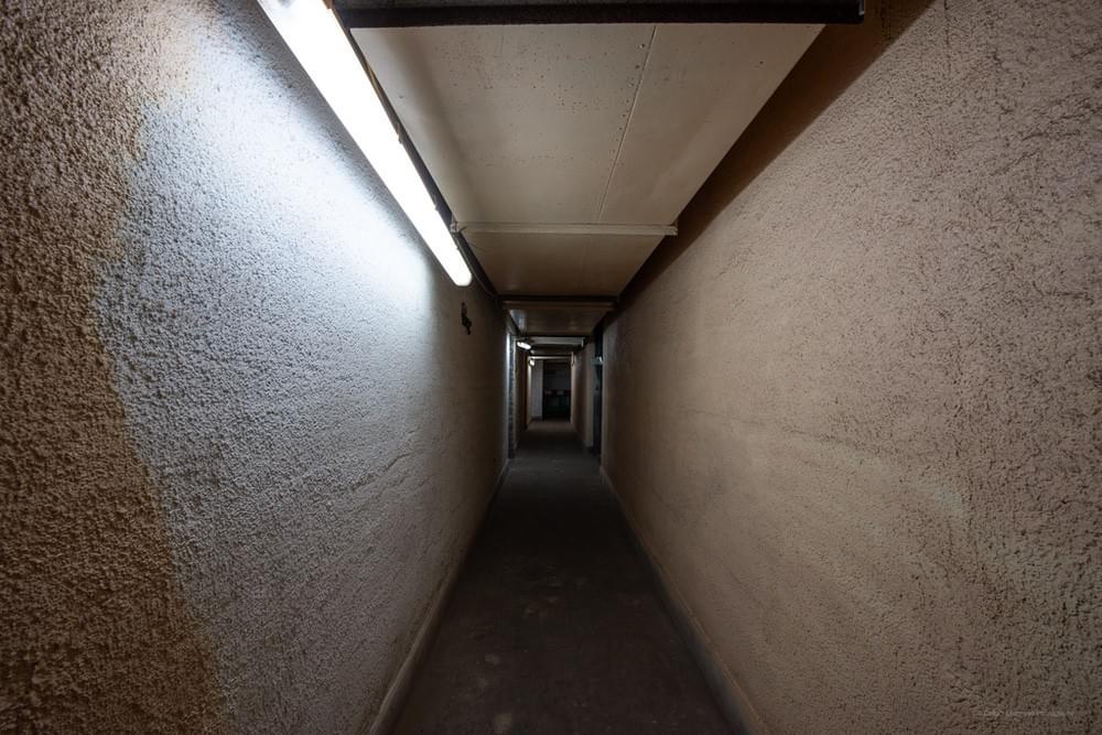 (Callum Cromwell - 2024)