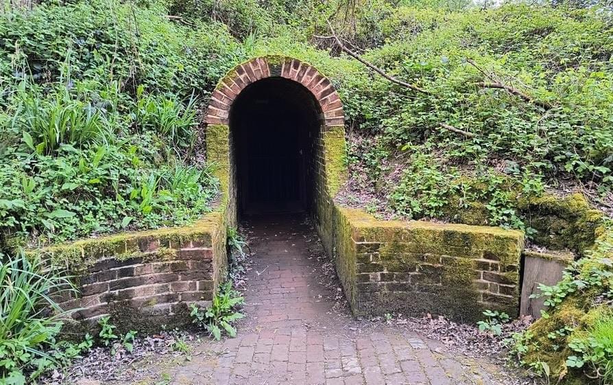 Entrance (John Bray - 2024)