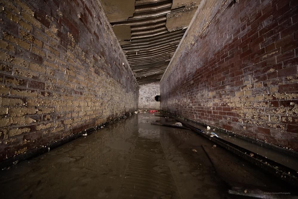 (Callum Cromwell - 2024)