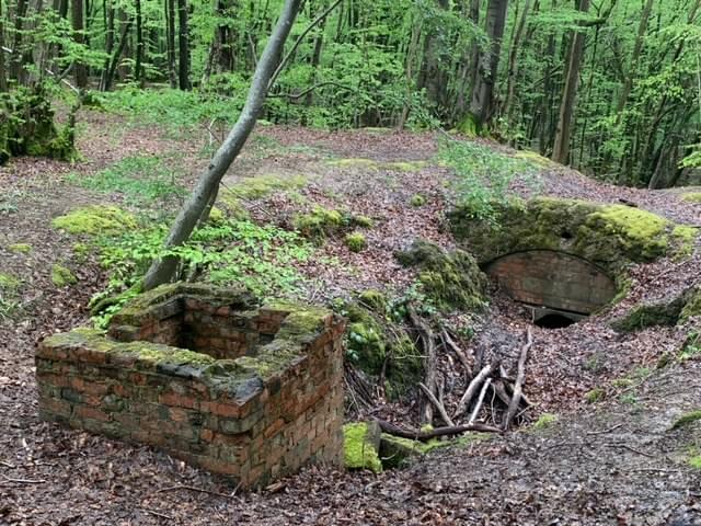 (Martyn Yeats - 2024)