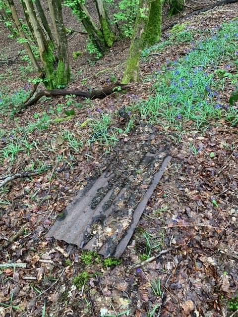 (Martyn Yeats - 2024)