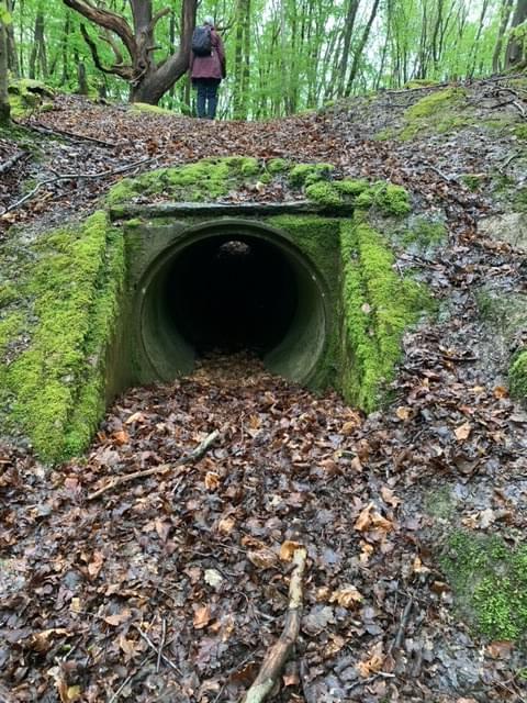 (Martyn Yeats - 2024)