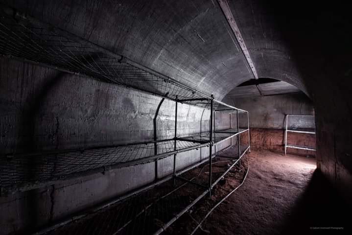 (Callum Cromwell - 2023)