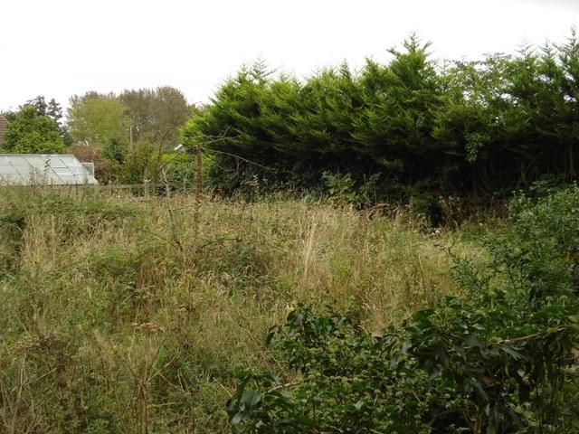 West Beckham ROC Post - Found the West Beckham post in Sep 2024.  The site is very overgrown (pic 1) (Erica Devitt)