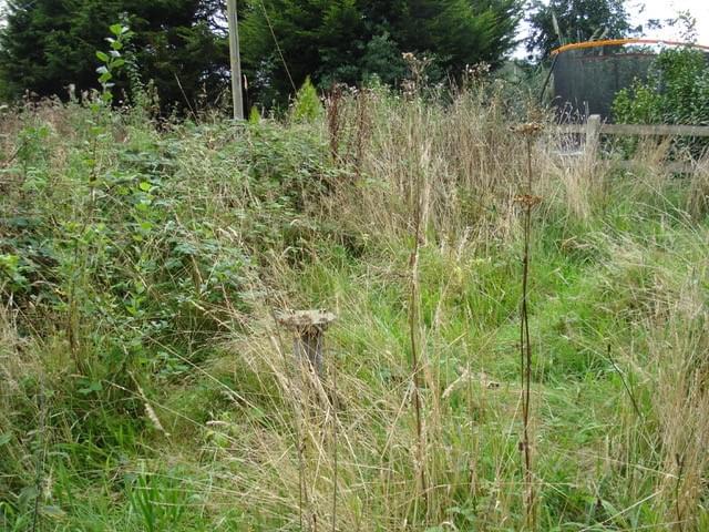 West Beckham ROC Post - The post is (mostly) visible.(pics 2 and 3) (Erica Devitt)