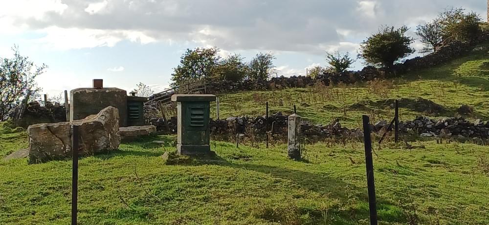 Brassington ROC Post 2024 (Lee Scarrott)