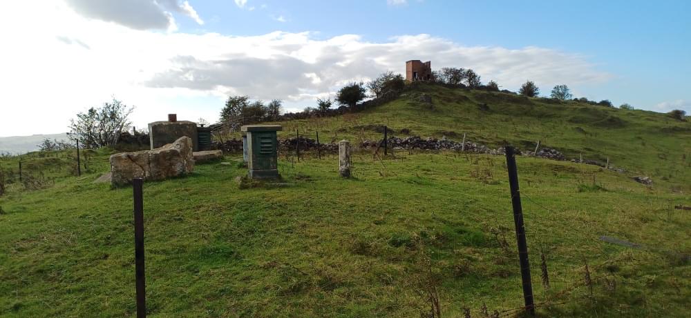 Brassington ROC Post 2024 (Lee Scarrott)