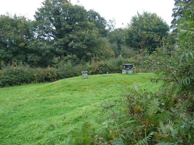 Ludlow ROC Post 2024 (Erica Devitt )