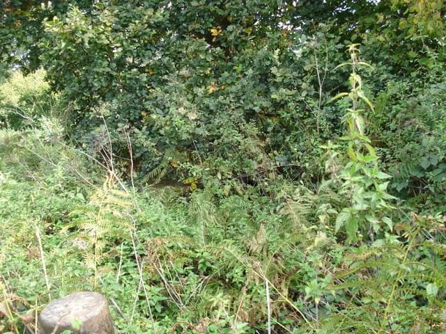 Craven Arms ROC Post (Erica Devitt )