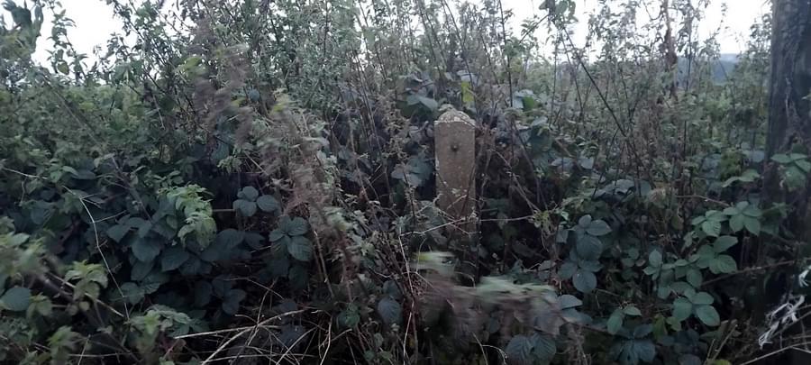 Standon ROC Post 2024 (David Baddeley )