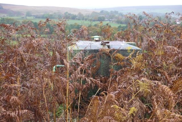 Goathland ROC Post 2024 (Erica Devitt )