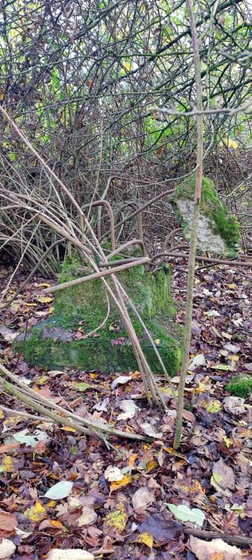 New Mills ROC Post 2024 (David Ruzicka )