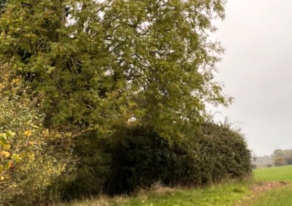 Wymondham ROC Post 2024 (Phil)