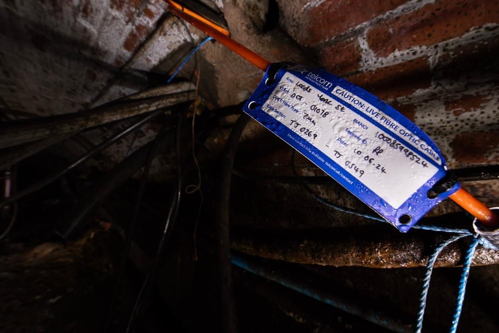 (Callum Cromwell - 2024)