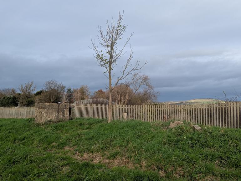 Stoke Orchard ROC Post 2024 (Robin North)