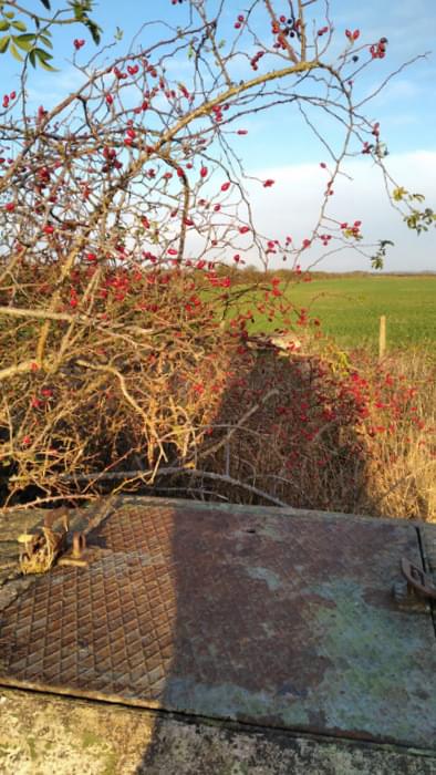 Coningsby ROC Post 2024 (Lee Scarrott)