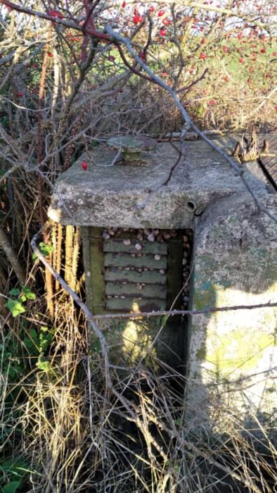 Coningsby ROC Post 2024 (Lee Scarrott)