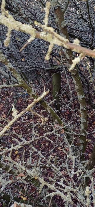 Billinghay ROC Post 2024 (Lee Scarrott)