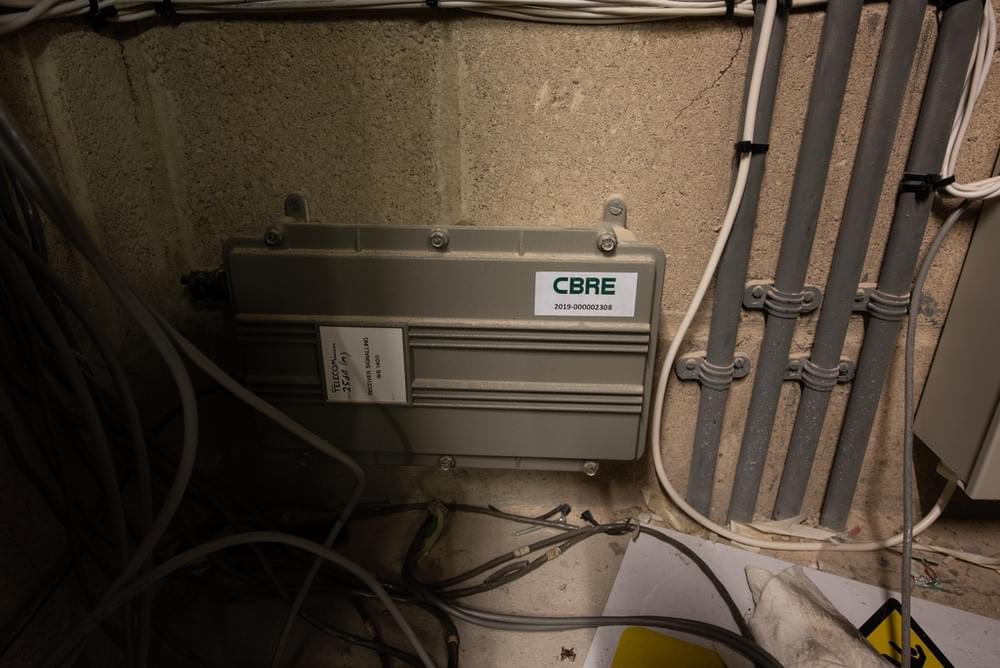 (Callum Cromwell - 2024)