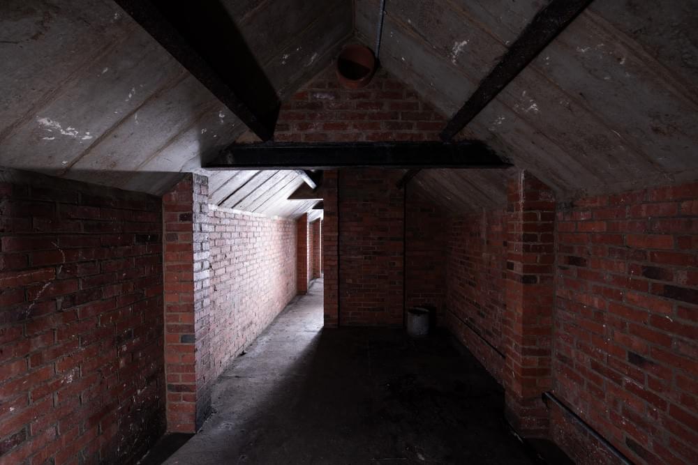 (Callum Cromwell - 2023)