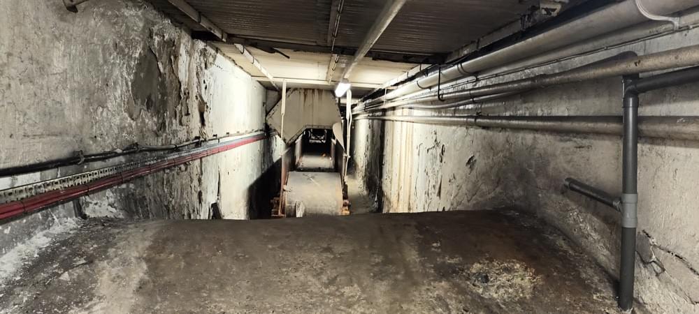 (Tony Radstone - 2024)