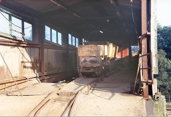 Cambokeels tippler in 1991 (Roy Lambeth)