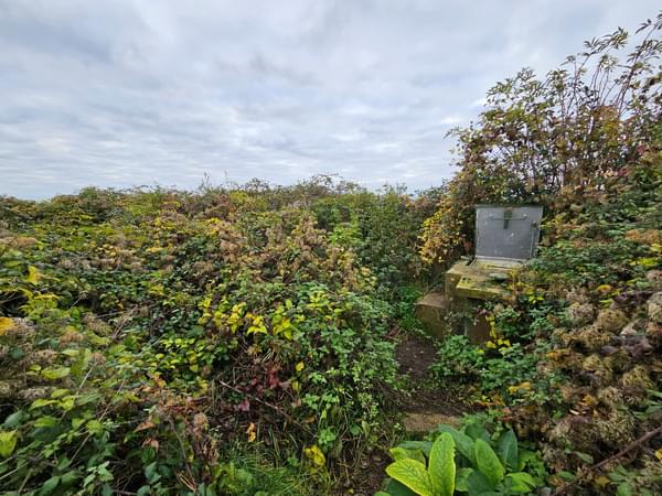 Witchampton ROC Post 2024 (Archie Williams)