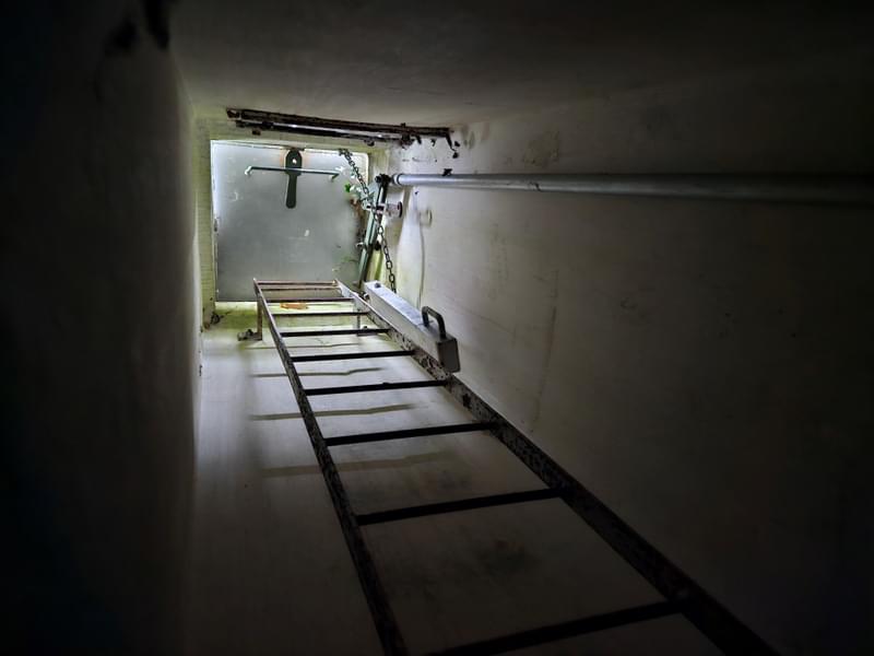 Witchampton ROC Post 2024 (Archie Williams)