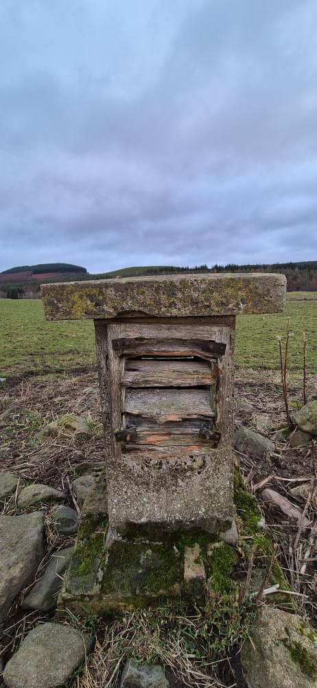 Glenisla ROC Post December 2024 (David Ruzicka )