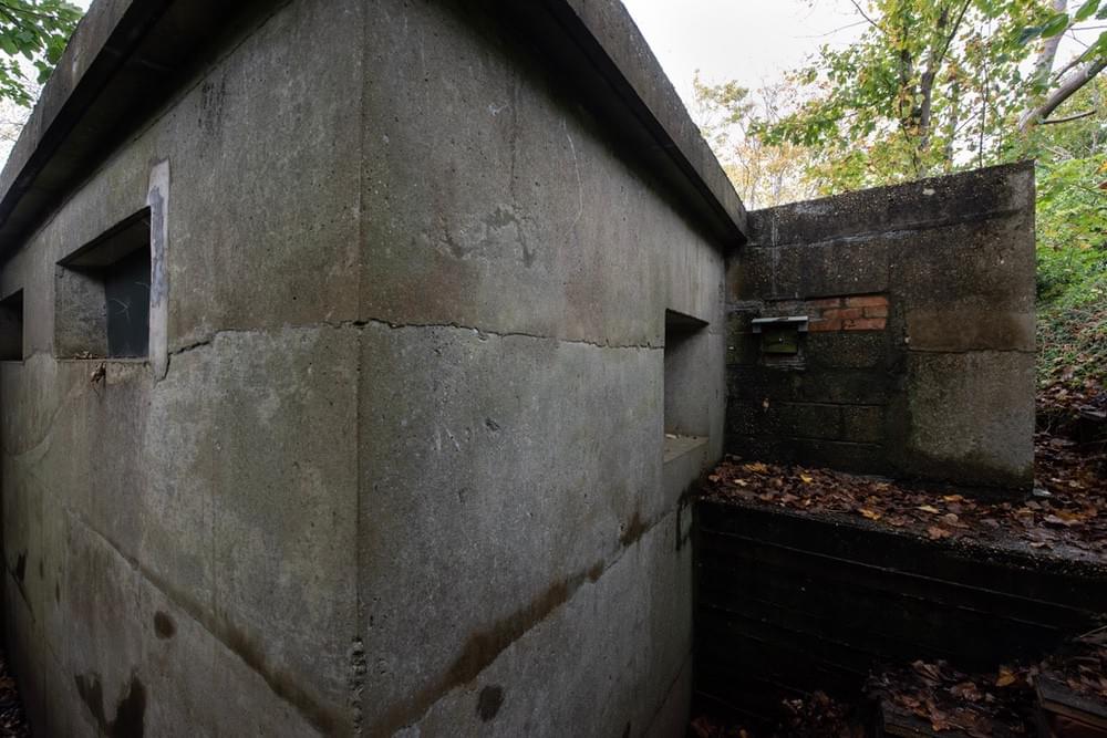 (Callum Cromwell - 2024)