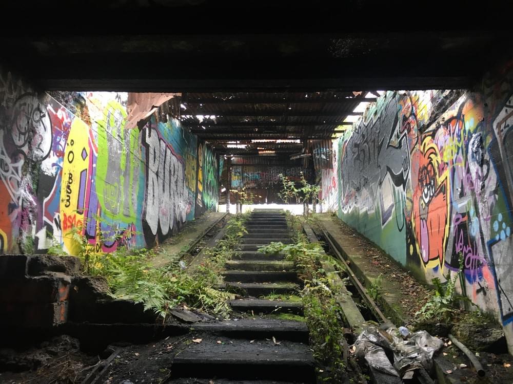 (Wesley Millership - 2025)