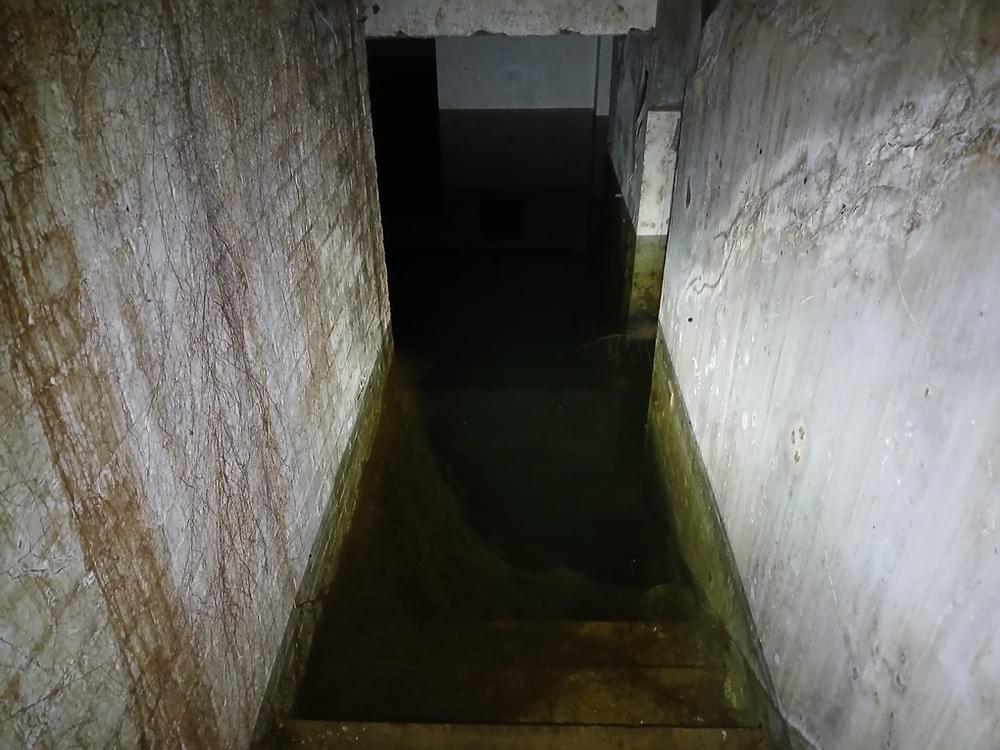 (Callum Cromwell - 2025)