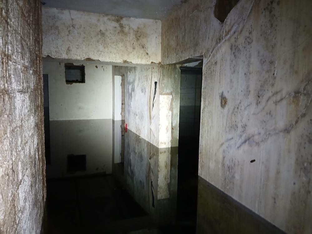 (Callum Cromwell - 2025)