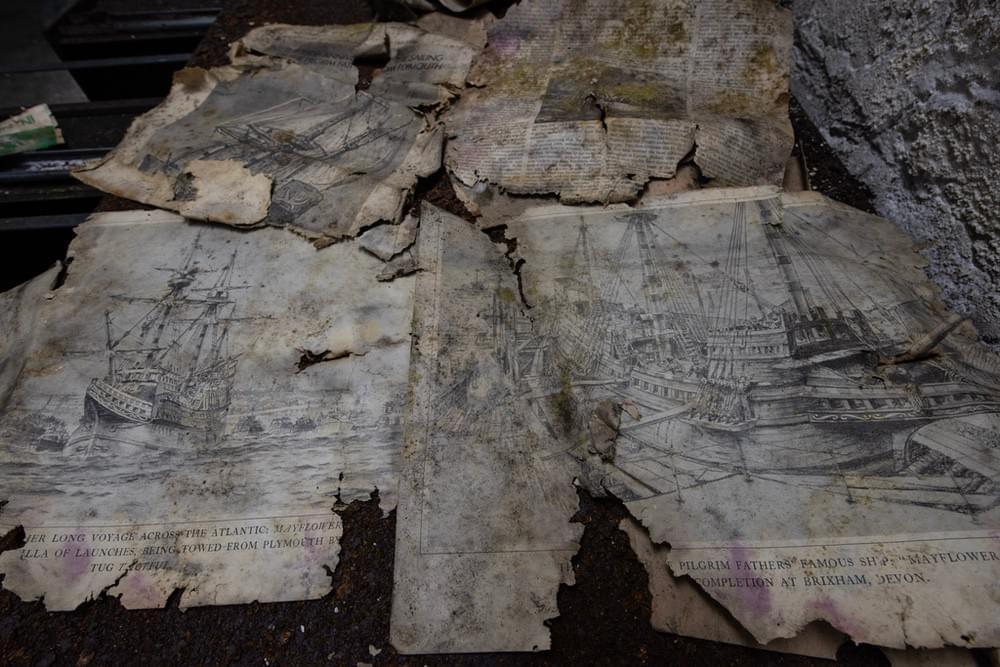 (Callum Cromwell - 2025)