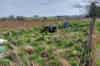 Little Sodbury ROC Post 2025 (Tony Nixon)