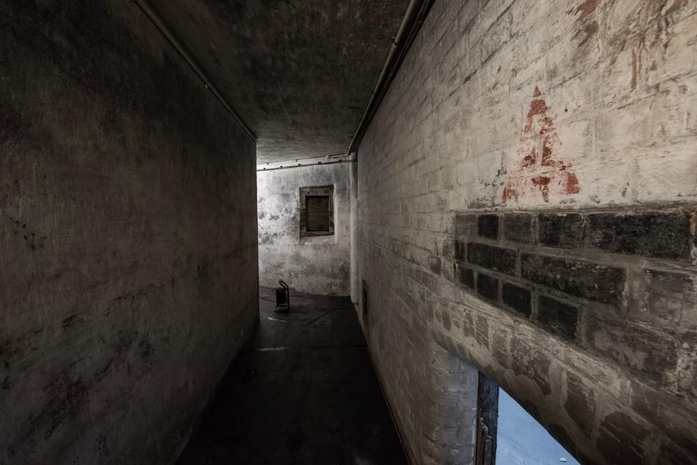 (Callum Cromwell - 2025)