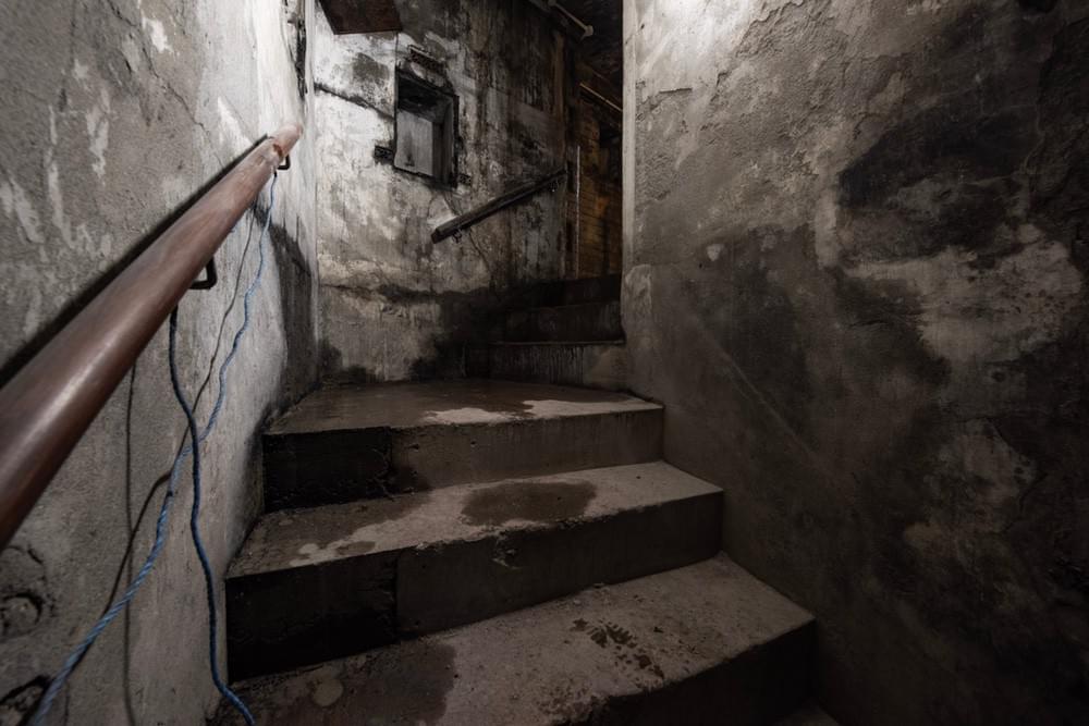 (Callum Cromwell - 2025)