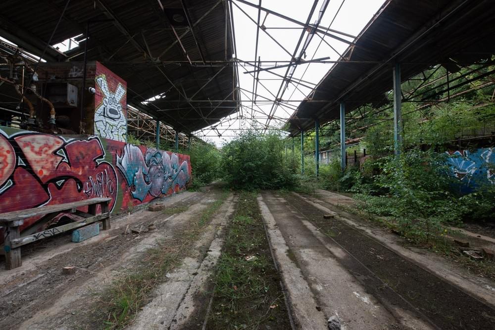 (Callum Cromwell - 2024)