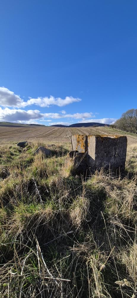 Fern ROC Post 2025 ( : David Ruzicka)