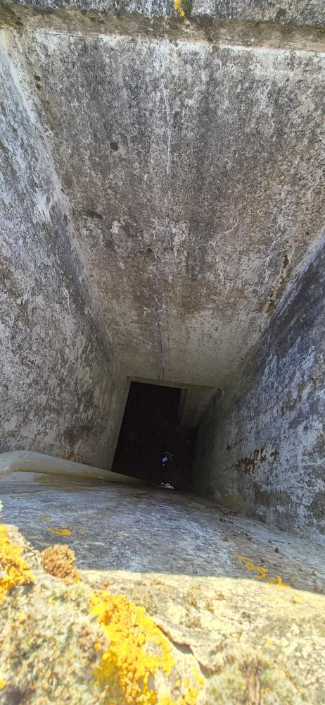 Fern ROC Post 2025 ( : David Ruzicka)