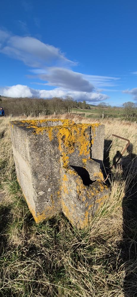 Fern ROC Post 2025 ( : David Ruzicka)