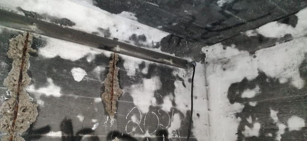 Swallow ROC Post (lee scarrott )