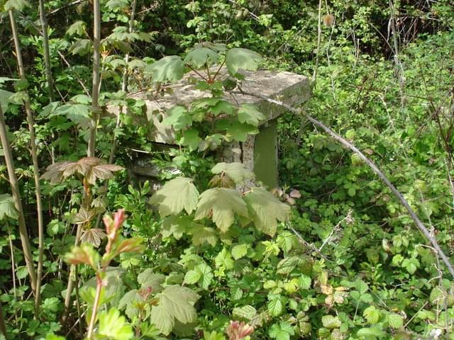 Pavenham ROC Post 2025 (Erica Devitt )