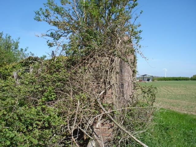 Riseley ROC Post 2025 (Erica Devitt )