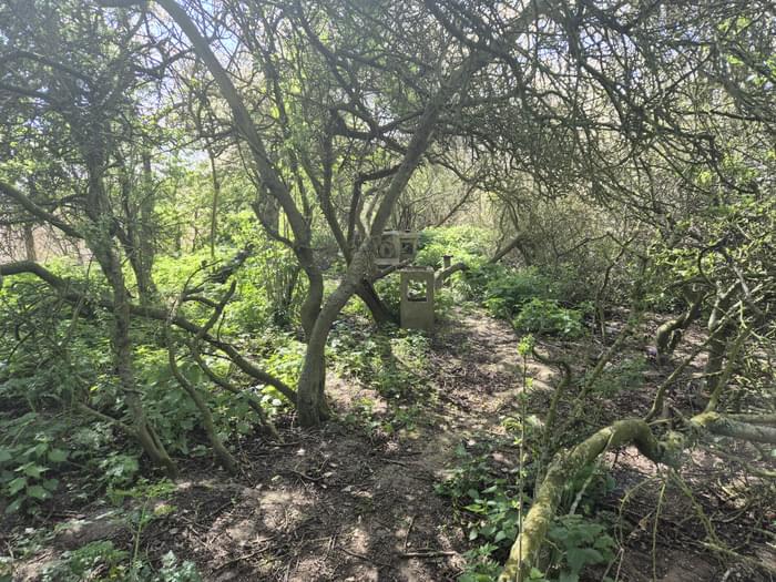 Loddon ROC Post 2025 (Alan Beaven)