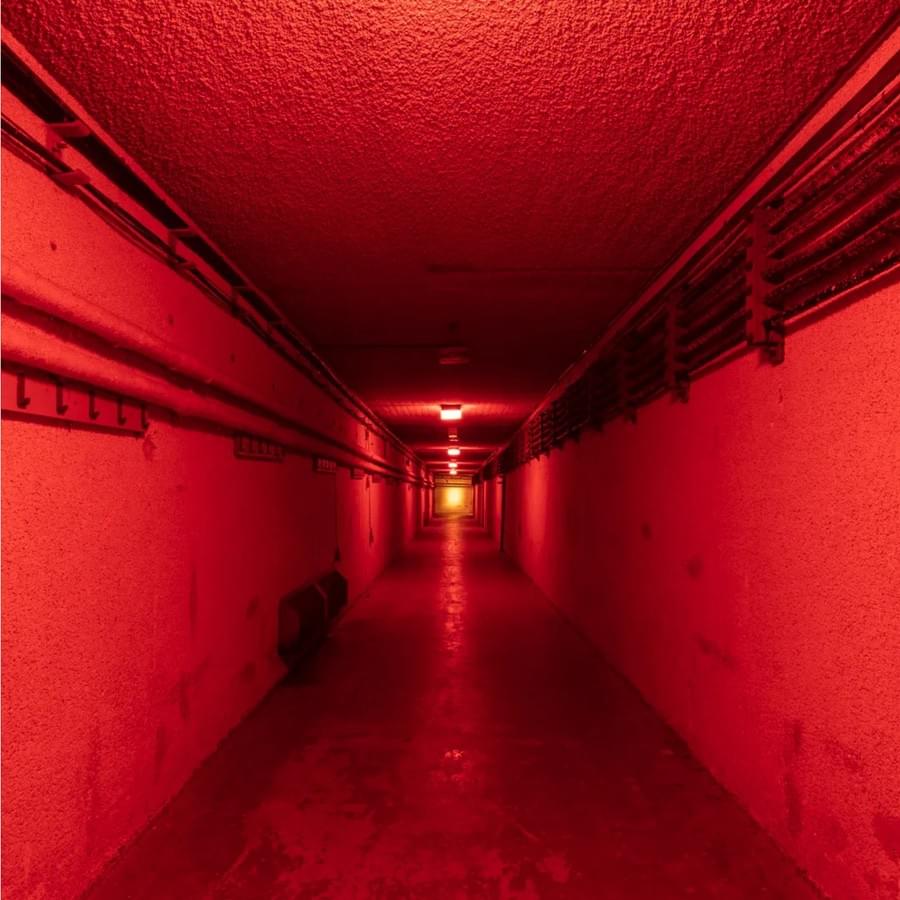 Tunnel to bunker (© Quintin Lake, 2019)