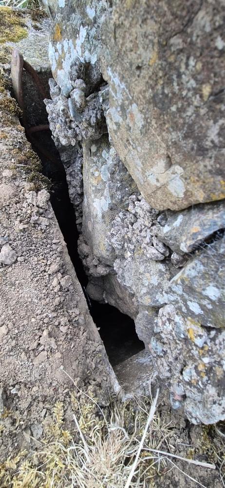 (David Ruzicka - 2025)