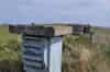 Elie ROC Post 2025 (David Ruzicka )